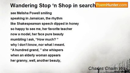 Charles Chaim Wax - Wandering Stop ‘n Shop in search of Slim Jims