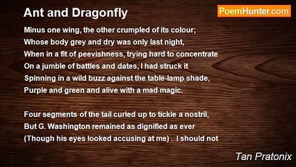 Tan Pratonix - Ant and Dragonfly