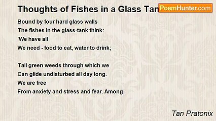 Tan Pratonix - Thoughts of Fishes in a Glass Tank