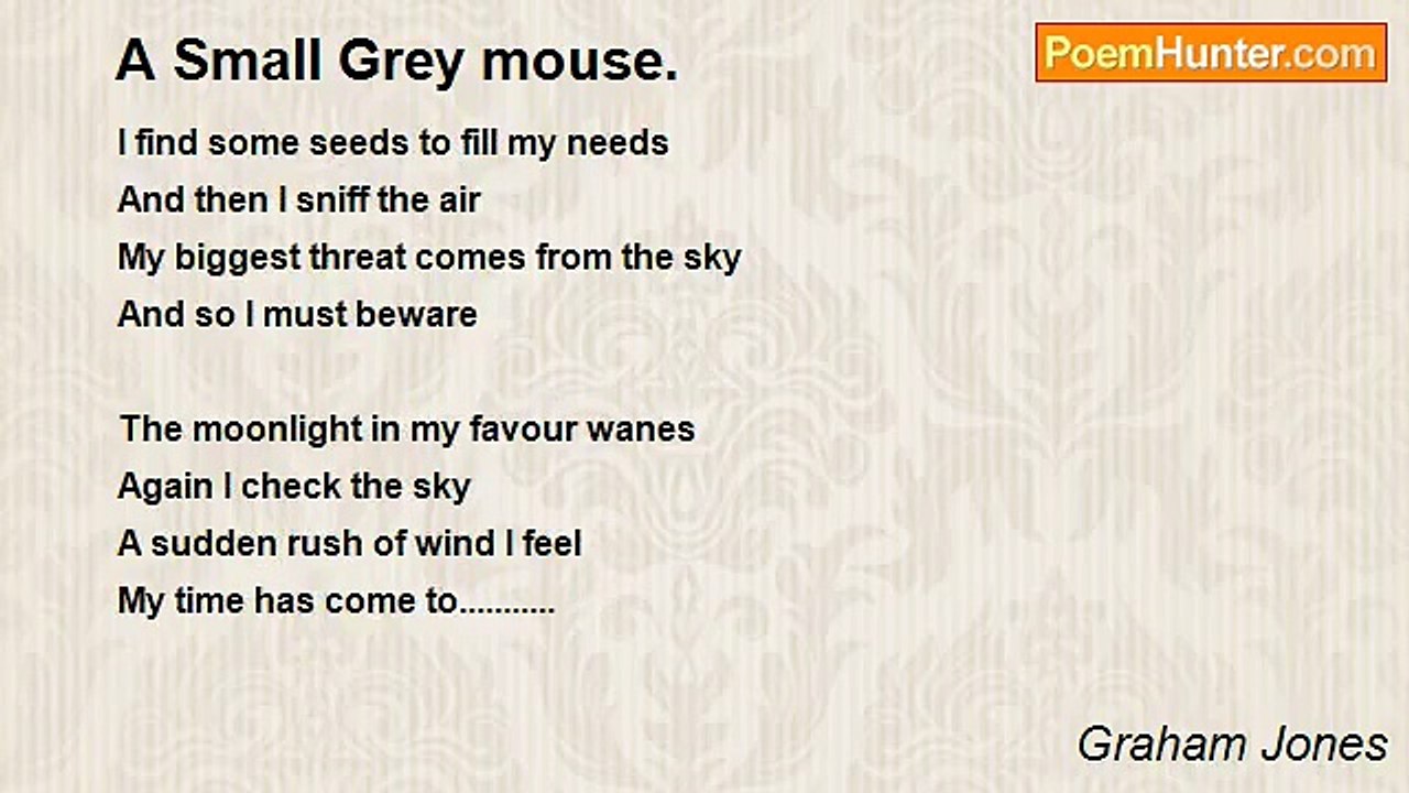 Graham Jones - A Small Grey mouse.