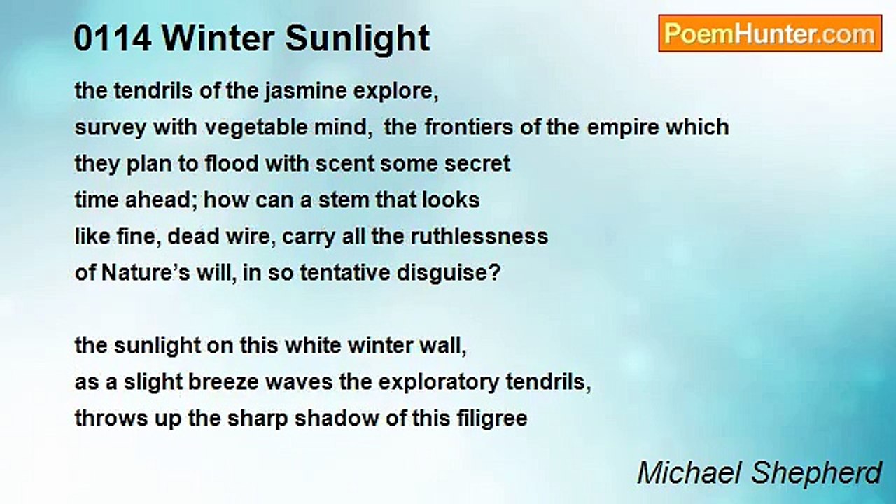 Michael Shepherd - 0114 Winter Sunlight