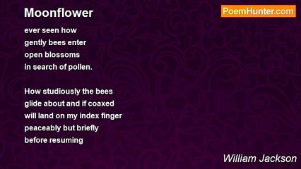 William Jackson - Moonflower