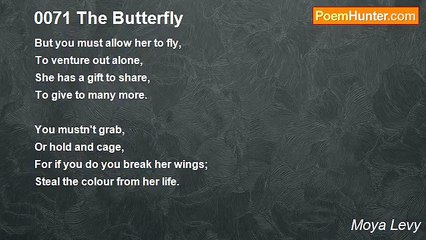 Moya Levy - 0071 The Butterfly