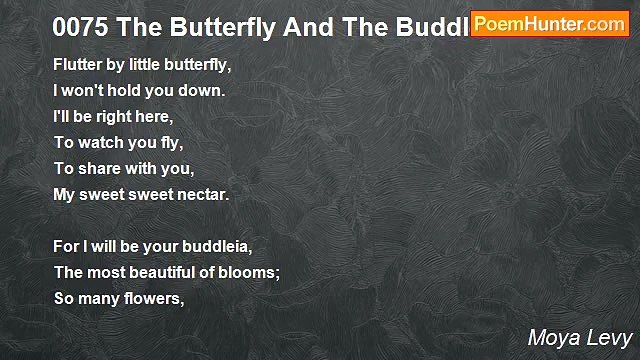 Moya Levy - 0075 The Butterfly And The Buddleia