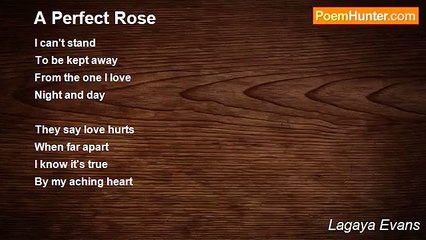Lagaya Evans - A Perfect Rose