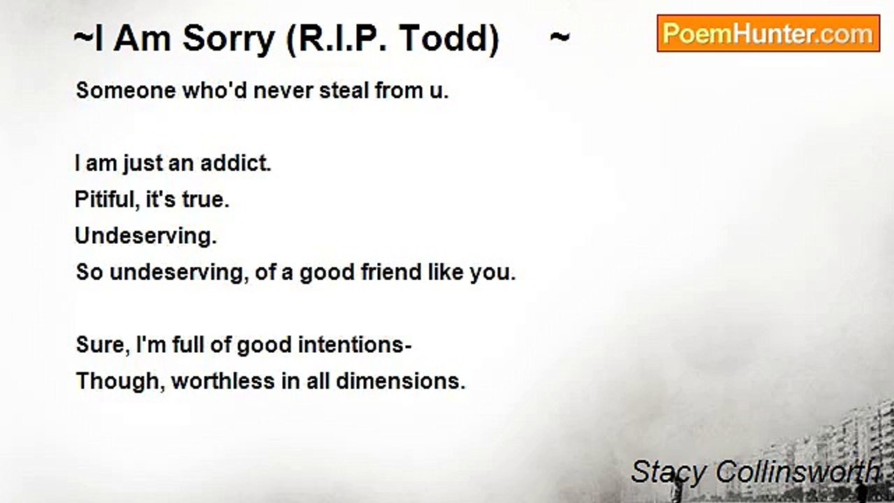 Stacy Collinsworth - ~I Am Sorry (R.I.P. Todd)     ~