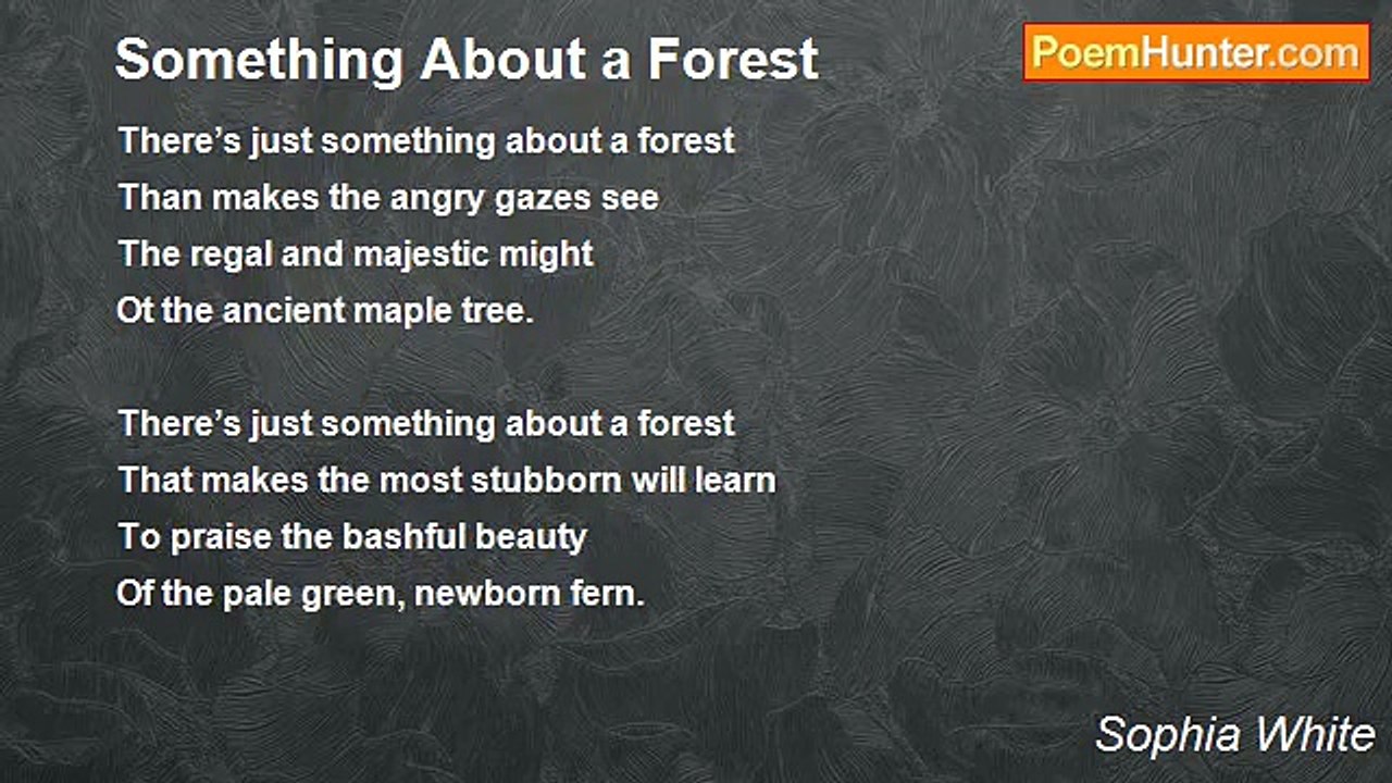 Sophia White - Something About a Forest