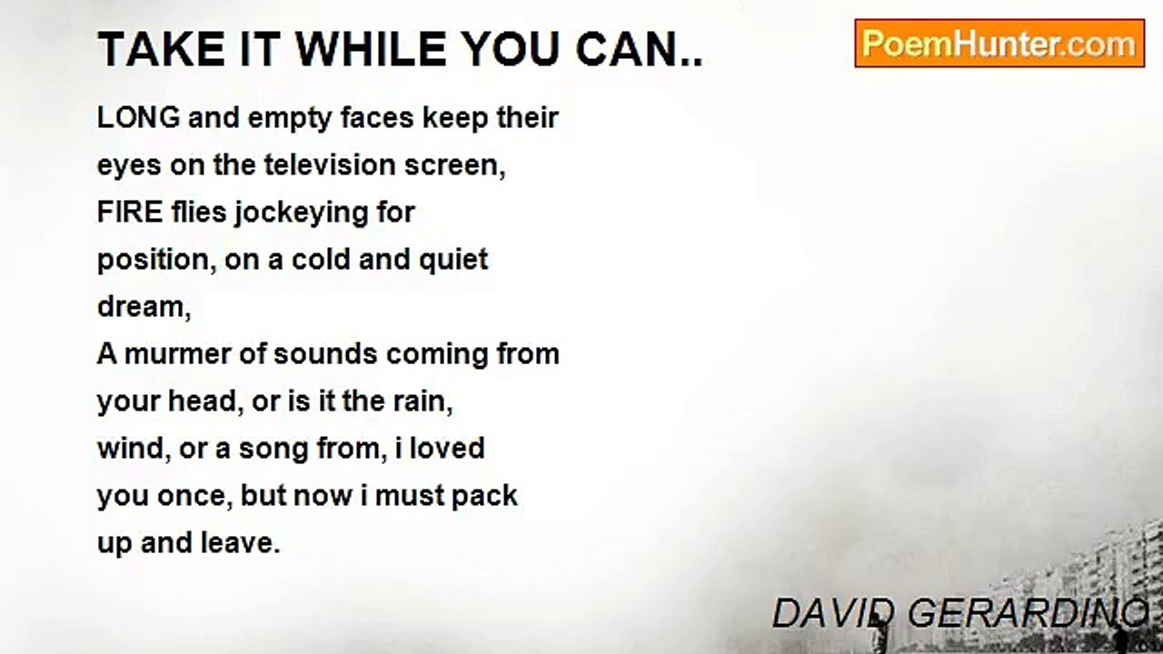 DAVID GERARDINO - TAKE IT WHILE YOU CAN..