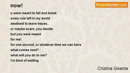 Cristina Geanta: A Poetic Reflection