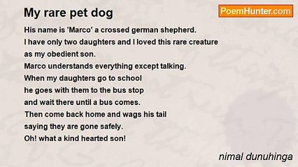 nimal dunuhinga - My rare pet dog