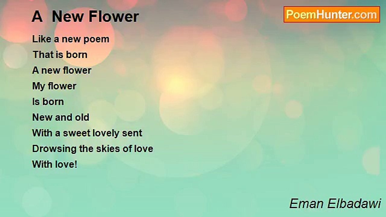Eman Elbadawi - A  New Flower