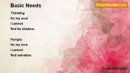 daubmir nadir - Basic Needs