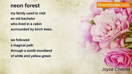 Joyce Chelmo - neon forest