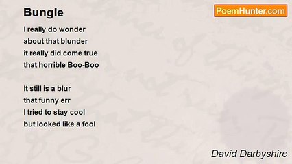 David Darbyshire - Bungle