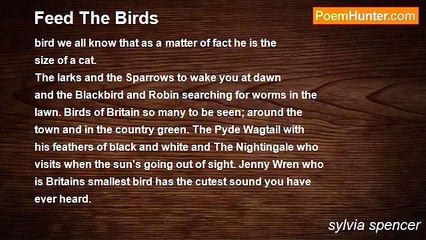 sylvia spencer - Feed The Birds