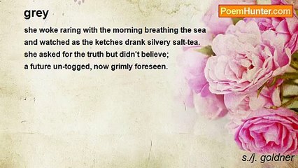 s./j. goldner - grey