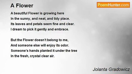Jolanta Gradowicz - A Flower
