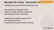 Terry Brewer - Beneath the waves - Seychelles Islands