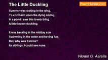 Vikram G. Aarella - The Little Duckling