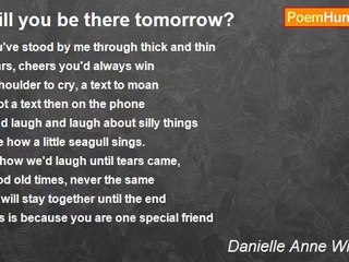 Danielle Anne Wilkinson - Will you be there tomorrow?