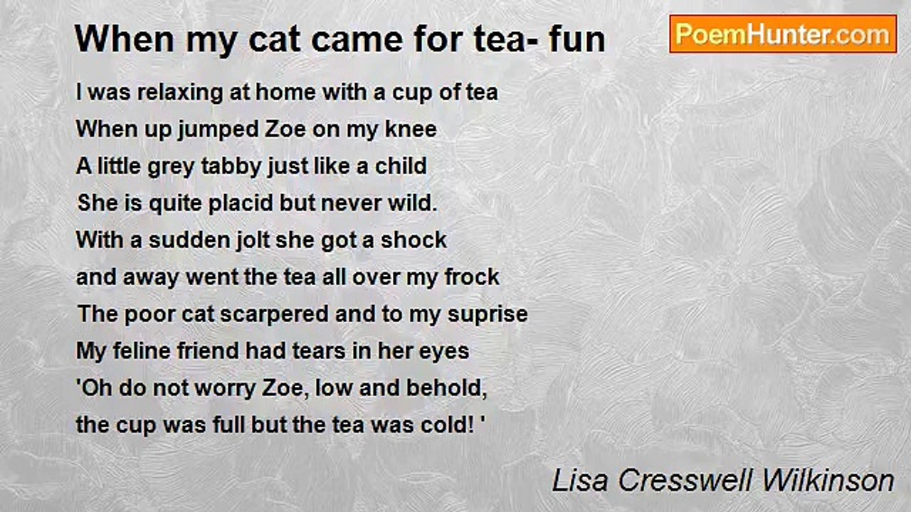 Lisa Cresswell Wilkinson - When my cat came for tea- fun