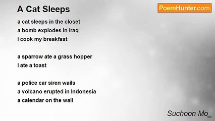 Suchoon Mo_ - A Cat Sleeps