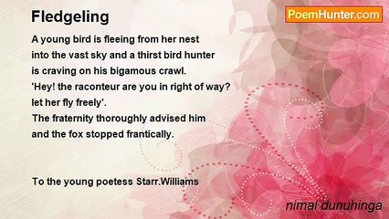 nimal dunuhinga - Fledgeling