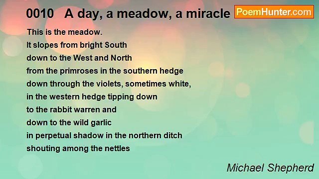 Michael Shepherd - 0010 A day, a meadow, a miracle