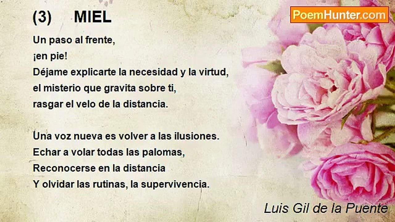 Luis Gil de la Puente - (3)     MIEL