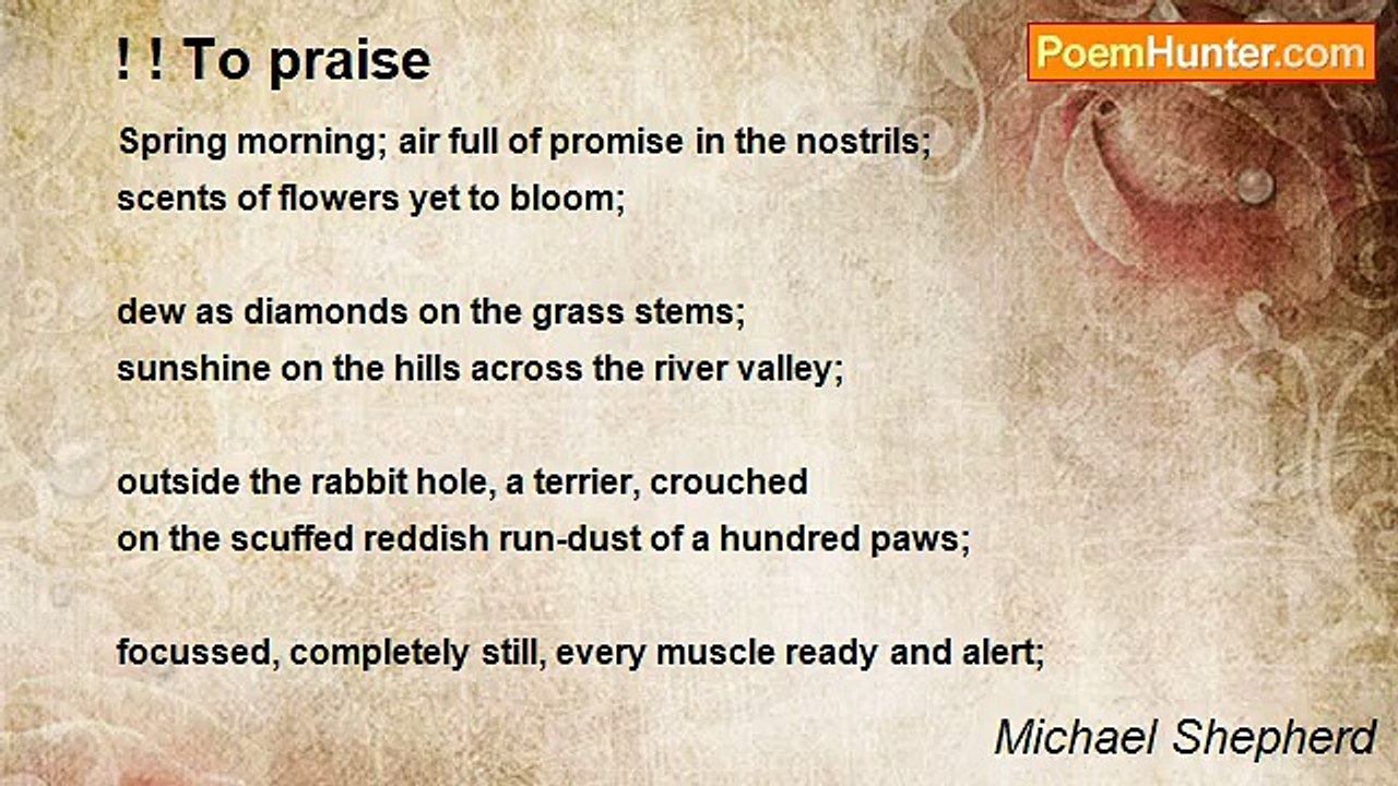 Michael Shepherd - ! ! To praise