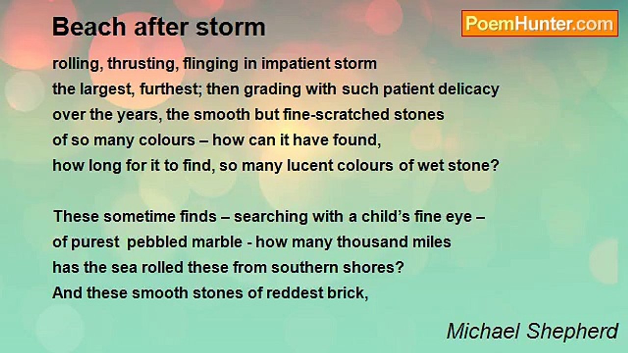 Michael Shepherd - Beach after storm