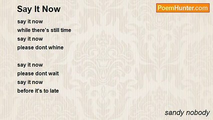 sandy nobody - Say It Now