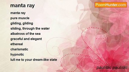 pauliski pauliski - manta ray