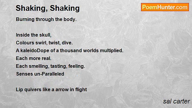 sal carter - Shaking, Shaking