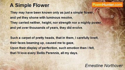 Ernestine Northover - A Simple Flower