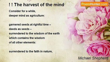 Michael Shepherd - ! ! The harvest of the mind