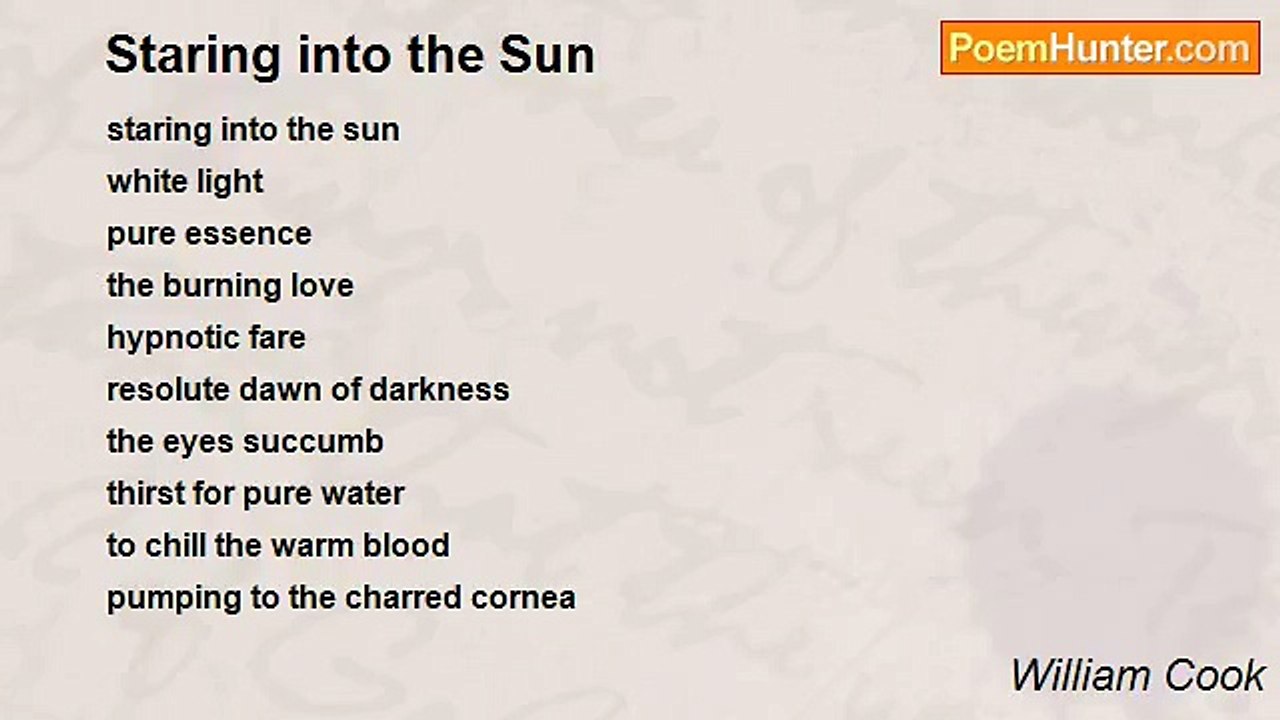 William Cook - Staring into the Sun