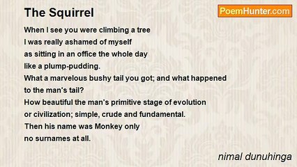 nimal dunuhinga - The Squirrel