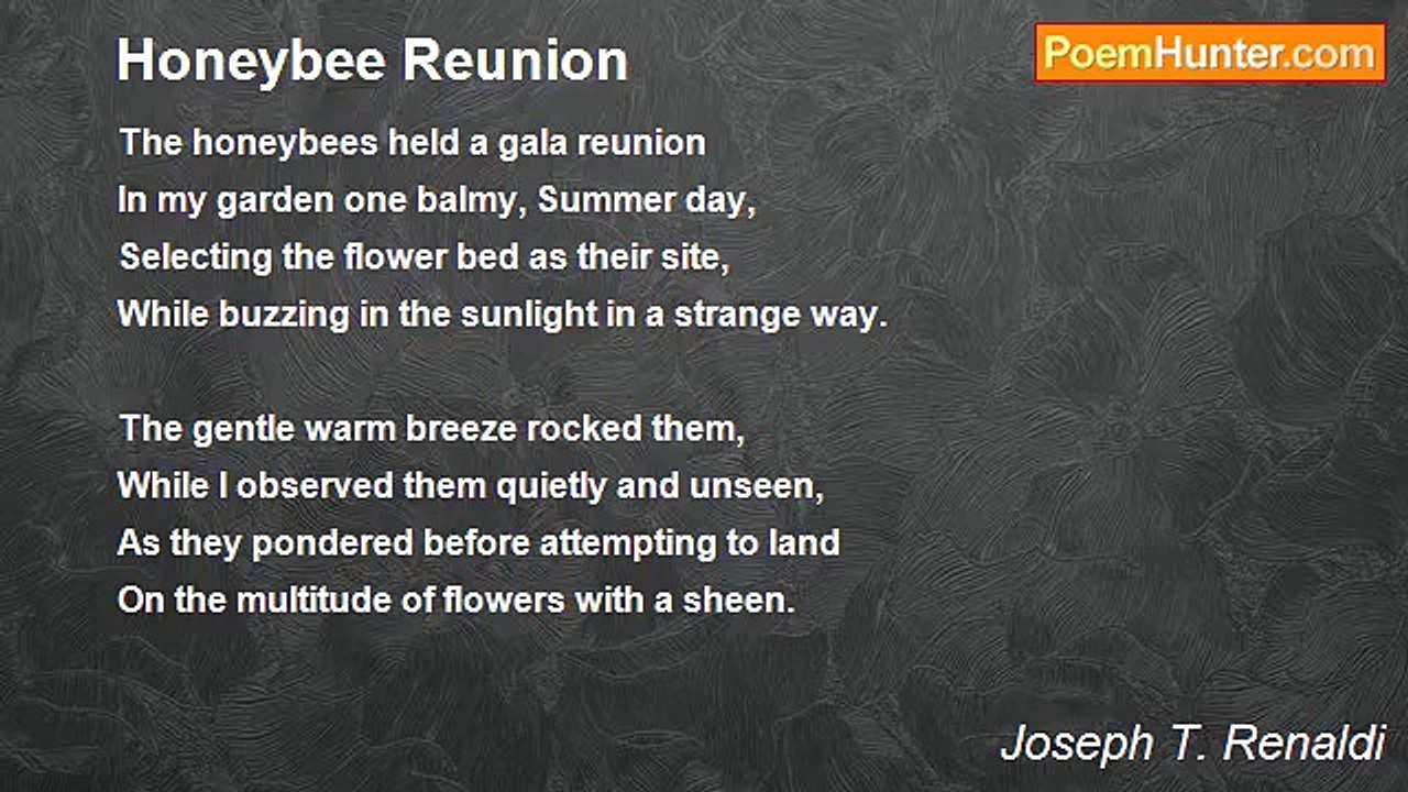 Joseph T. Renaldi - Honeybee Reunion