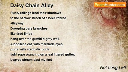 Not Long Left - Daisy Chain Alley