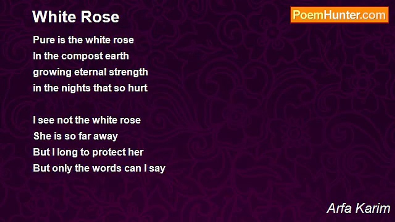 Arfa Karim - White Rose