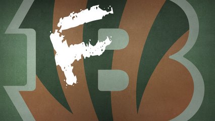 Wk 10 Report Card: Bengals