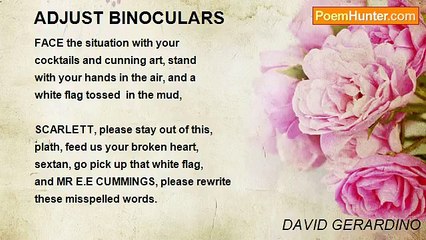 DAVID GERARDINO - ADJUST BINOCULARS