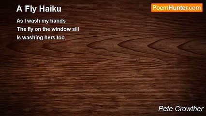 Pete Crowther - A Fly Haiku