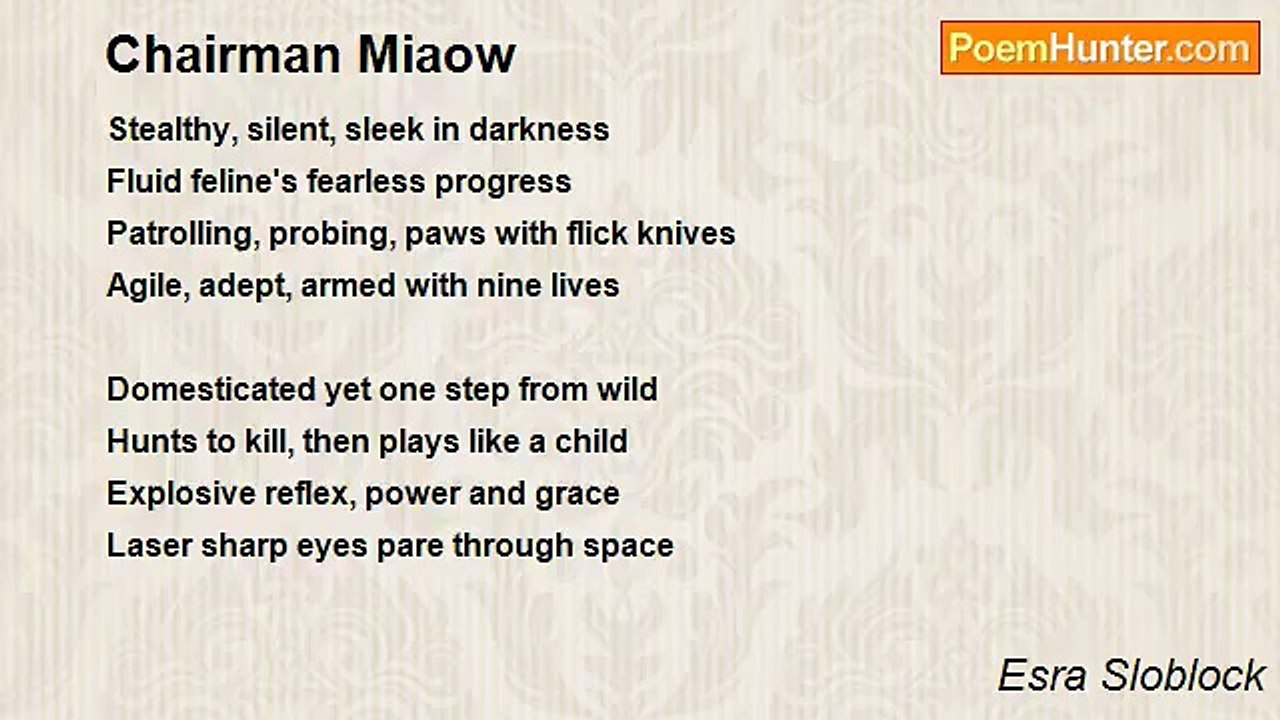 Esra Sloblock - Chairman Miaow