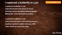 Joe Rivas - I captured a butterfly in a jar