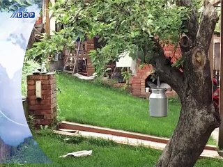 Vesti na vlaškom jeziku, 07. novembar 2014. (RTV Bor)