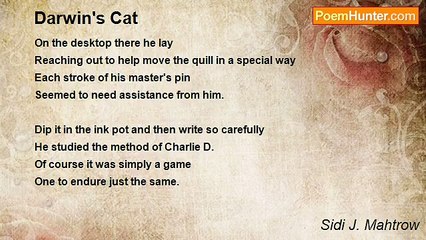 Sidi J. Mahtrow - Darwin's Cat