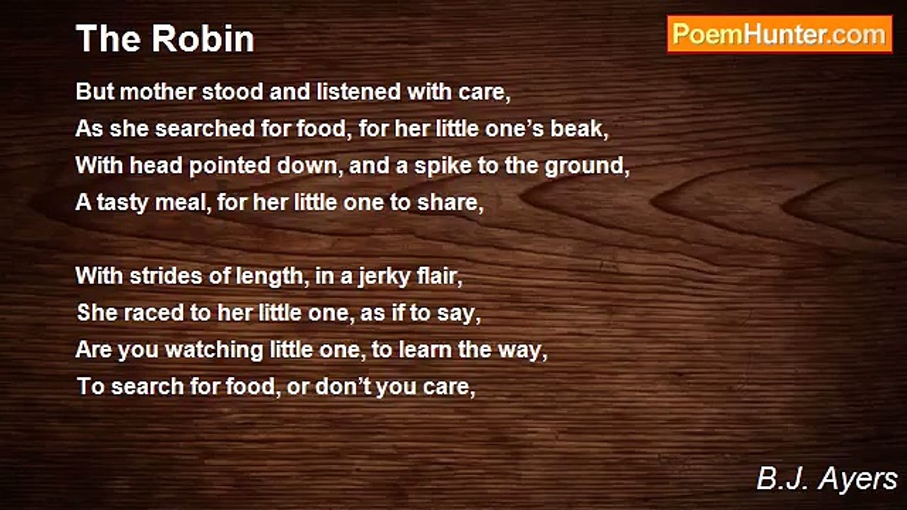 B.J. Ayers - The Robin