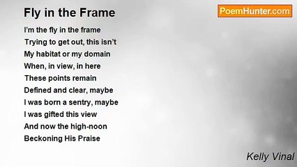 Kelly Vinal - Fly in the Frame